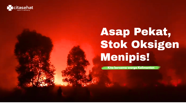 Kabut Asap Menyelimuti Kalimantan, Bantu Lindungi Warga