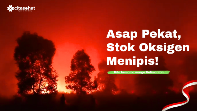 Kabut Asap Menyelimuti Kalimantan, Bantu Lindungi Warga