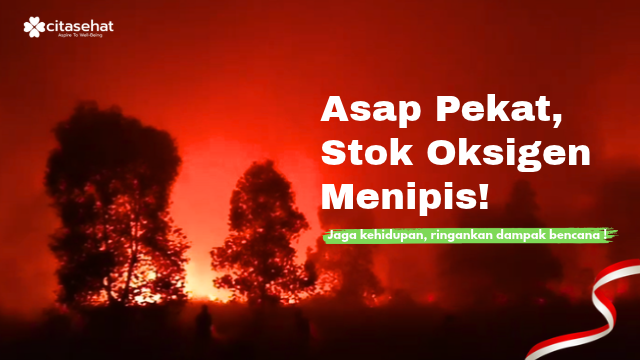 Kabut Asap Menyelimuti Indonesia, Bantu Lindungi Warga
